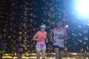 BIB: 42398, 4297
                            <button type="button" onclick="openModal(18285881)" class="btn btn-primary btn-sm float-right btn-popup" data-toggle="modal" data-target=".modal-high-quality">
                        <i class="fas fa-shopping-cart"></i> Add to Cart
                    </button>
                                            <button type="button" onclick="isThisMe(18285881, true)" class="btn btn-success btn-sm float-right btn-popup btn-isme hidden" data-toggle="tooltip" data-placement="bottom" title="นี่คือรูปของคุณใช่ไหม คลิกที่นี่เพื่อเอาเข้าอัลบั้ม">
                        <i class="fas fa-plus"></i> Add to album
                    </button>
                    <button type="button" onclick="isThisMe(18285881, false)" class="btn btn-warning btn-sm float-right btn-popup btn-isnotme hidden">
                        <i class="fas fa-ban"></i> Remove from album
                    </button>